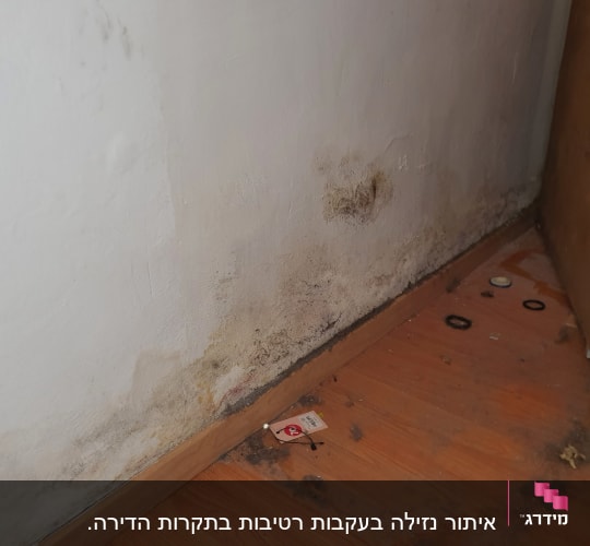 קיר עם סימני רטיבות ועובש בפינה